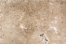 Travertino Olivillo Travertine Tiles, Spain Beige Travertine
