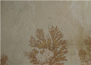 Fossil Mint Sandstone Tiles