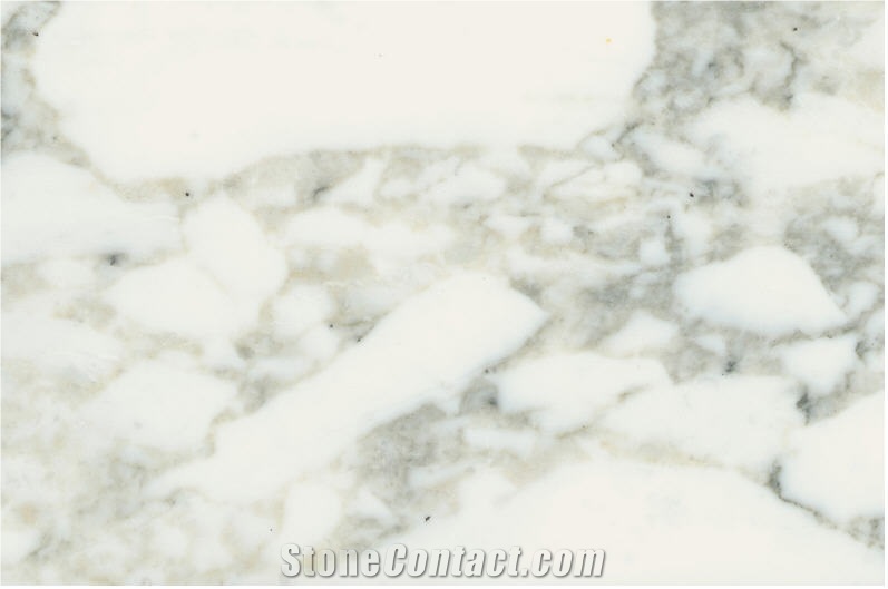 Arabescato Vagli Marble Slabs, Italy White Marble