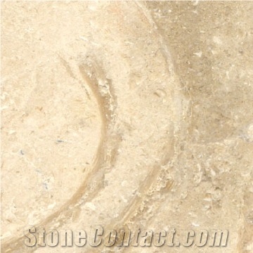 Jerusalem Bone Limestone Tiles, Israel Beige Limestone