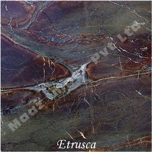 Etrusca Pearl Granite, India Green Granite Slabs & Tiles