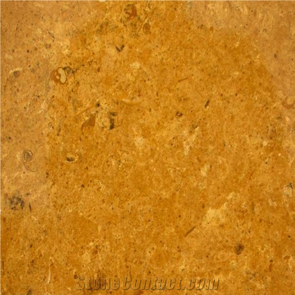 Indus Gold Limestone Tiles, Pakistan Yellow Limestone