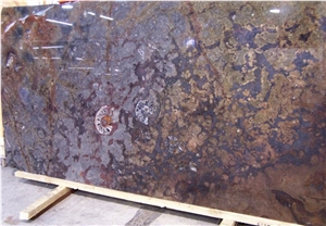 Fossil Etruscan Slabs, Fossile Brown Limestone Slabs