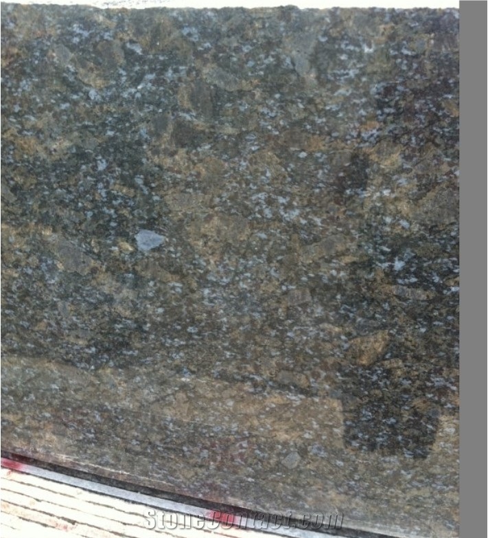 China Butterfly Blue Granite Slab for Countertop