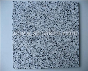 G640 White Leopard Granite Tiles