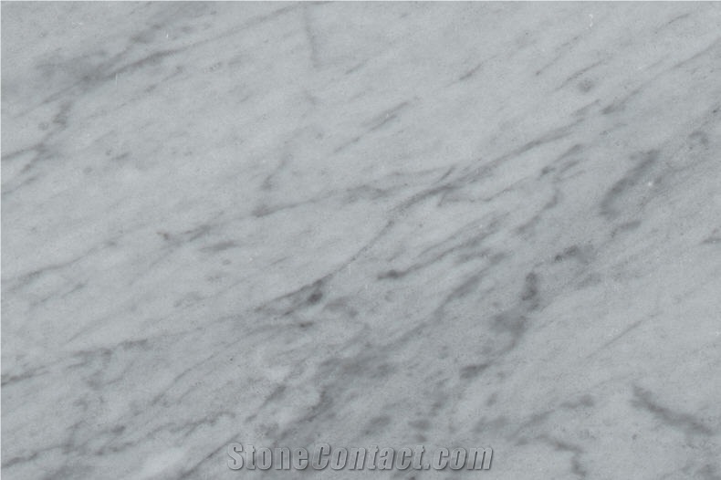 Bardiglietto Marble Slabs, Italy Grey Marble