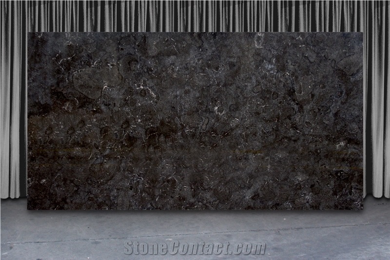 Black Fossil Limestone Slabs, Petit Granit Black Limestone Slabs