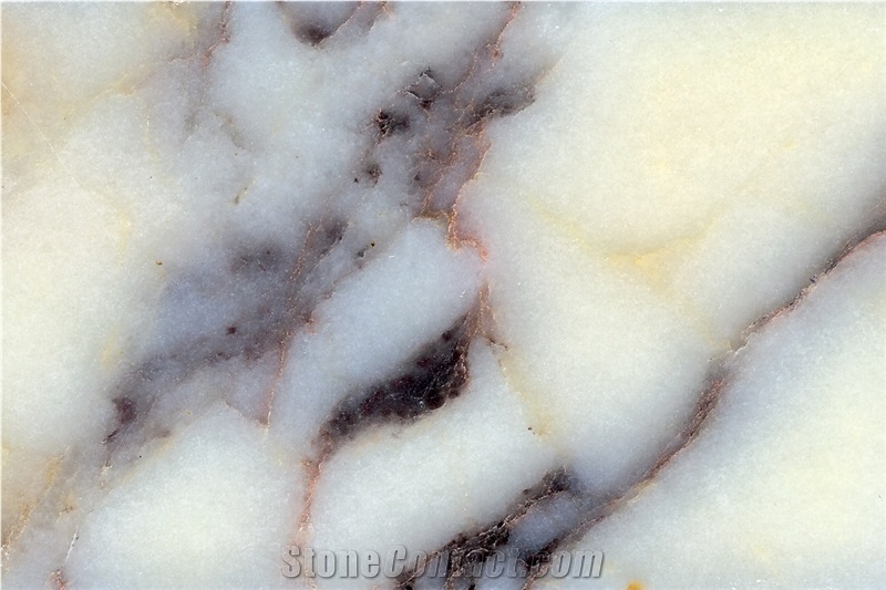 Breccia Capraia Marble Slabs, Italy White Marble