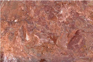 Breccia Pernice Limestone Slab, Italy Red Limestone