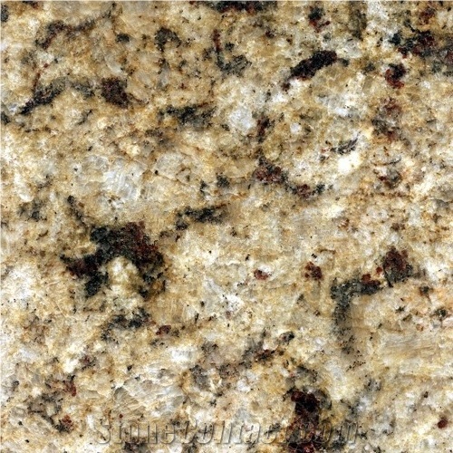 Giallo-Farfalla Granite Tiles,slabs