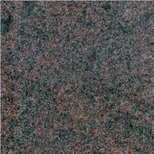 India Parodiso Granite Tiles,slabs