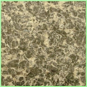 Leopard Skin Flower Granite Tiles,slabs