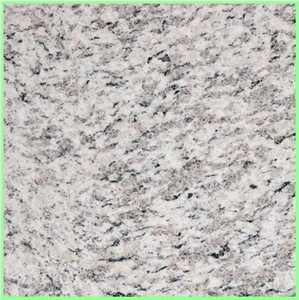 Tiger Skin White Granite Tiles,slabs