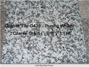 G439 Granite Tile Big White Flower