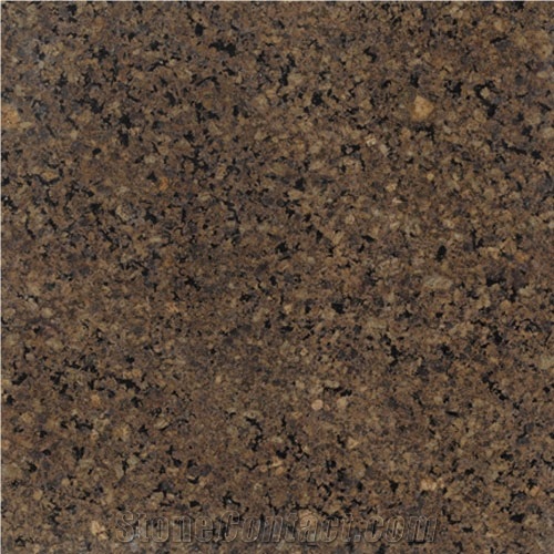 New Merry Gold- Camel Brown, Camel Brown Granite Tiles