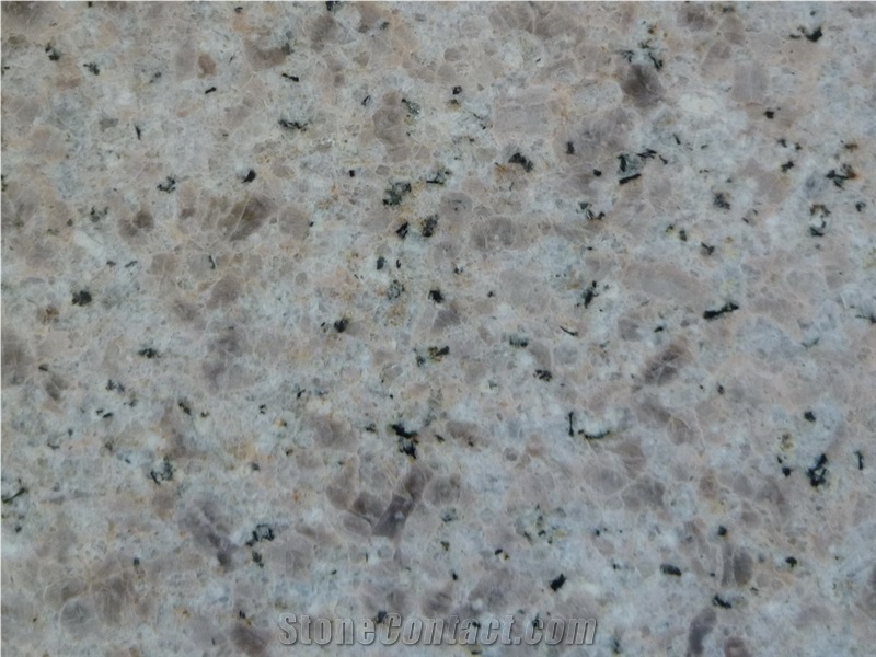 Giallo Champagn Granite, China Grey Granite Slabs & Tiles