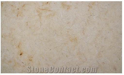 Fossil Oro Limestone Tile Flooring, Israel Yellow Limestone