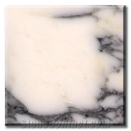 Arabescato Polished Marble Flooring Tiles, Walling Tiles, Italy White Marble Tiles, Slabs