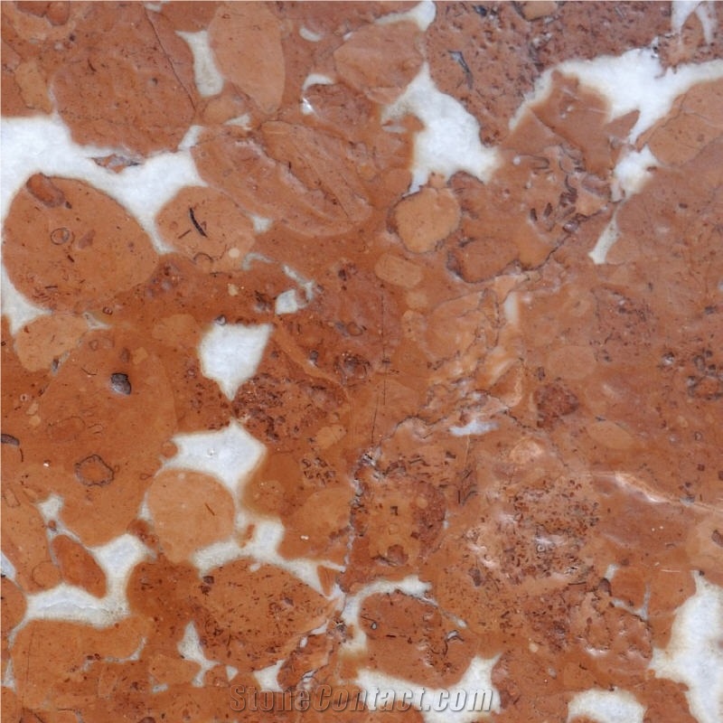 Adneter Scheck Limestone Slabs, Austria Red Limestone