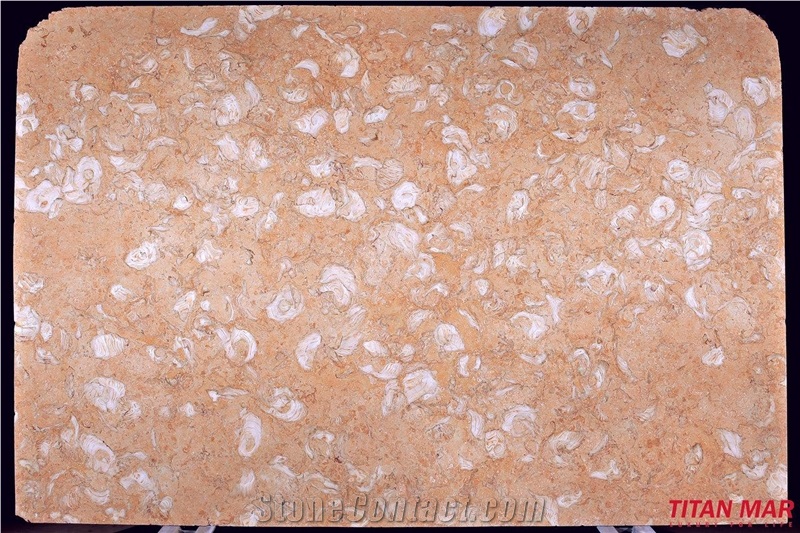 Fosilius Limestone Slabs & Tiles, Turkey Pink Limestone