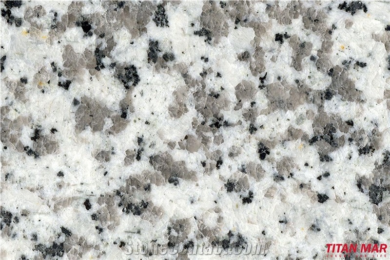 Pauline Grey Granite Tiles, China White Granite