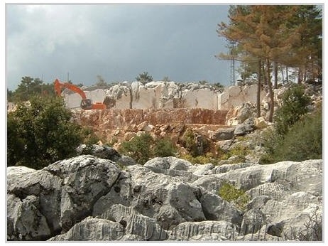Sagalassos Beige Marble Blocks from Own Quarry, Turkey Beige Marble