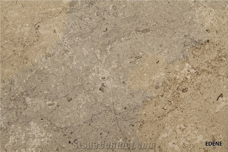 Edene Limestone Tiles, Turkey Brown Limestone