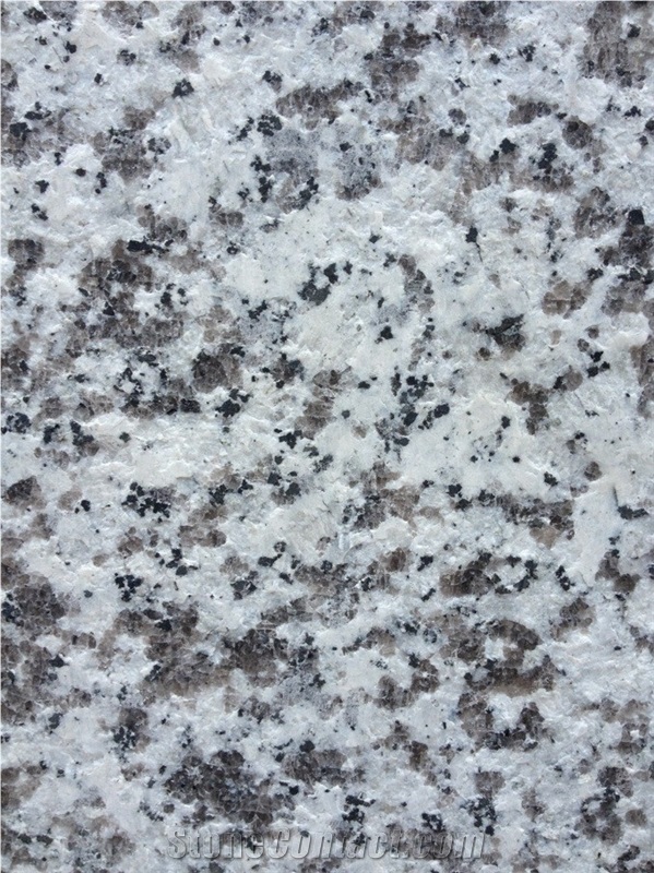 G439, China Grey Granite Slabs & Tiles