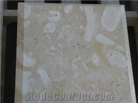 Coralina Beige Limestone Tiles, Dominican Republic Beige Limestone
