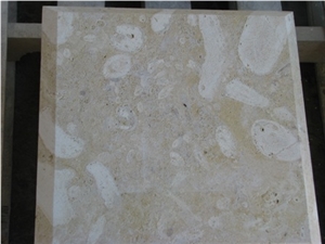 Coralina Beige Limestone Tiles, Dominican Republic Beige Limestone