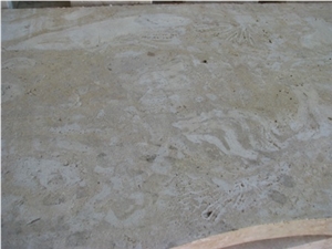 Coralina Beige Limestone Tiles, Dominican Republic Beige Limestone