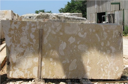 Golden Coral Stone Slabs, Dominican Republic Golden Coral Stone