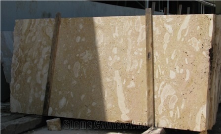 Golden Coral Stone Slabs, Dominican Republic Golden Coral Stone