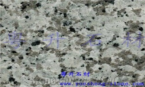 Gris Perla Granite Slabs & Tiles,China Grey Granite