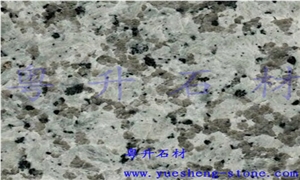 Gris Perla Granite Slabs & Tiles,China Grey Granite