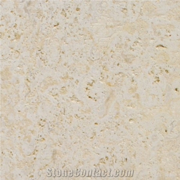 Mexican Coral Stone Sawn Unfilled Tile, Mexico Beige Coral Stone Tiles
