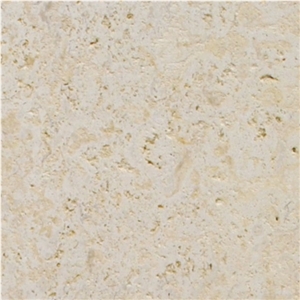 Mexican Coral Stone Sawn Unfilled Tile, Mexico Beige Coral Stone Tiles