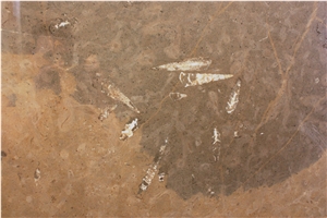 Fossil Grey Limestone Slabs & Tiles, Spain Grey Limestone