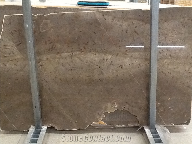 Fossil Grey Limestone Slabs & Tiles, Spain Grey Limestone from Spain