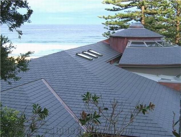 China Black Slate Roof Tiles/Roofing Slate/China Slate Roof Tiles
