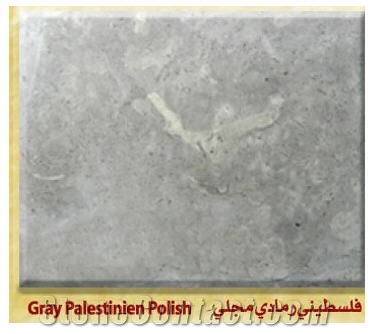 Palestinian Gray Limestone Honed, Polished