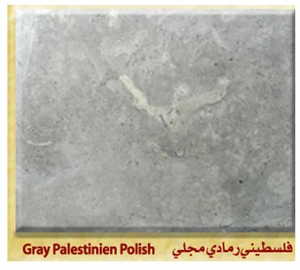 Palestinian Gray Limestone Honed, Polished
