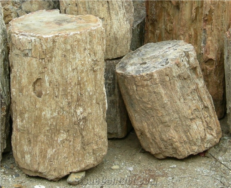 Petrified Wood Logs