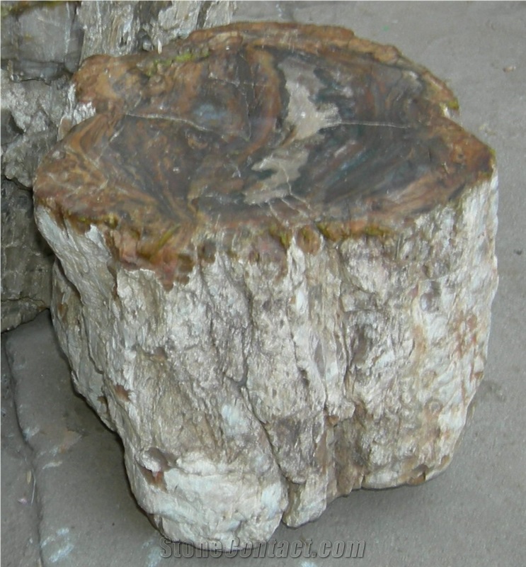 Petrified Wood Logs  Landscape Boulders Rocks Supply