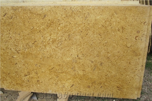 Fossil Gold, India Yellow Limestone Slabs & Tiles