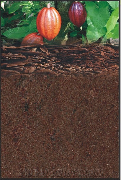 Chocolate Brown Granite Tiles, Brazil Brown Granite