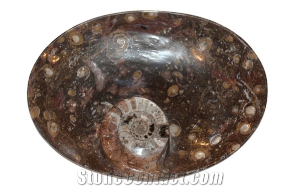 Alssamra - Ammonite Fossil Bowl Oval Small, Gr ,Melange Of Erfoud Brown Limestone Bowl