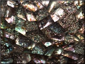 Paua Dream Mother Of Pearl Shell Tiles