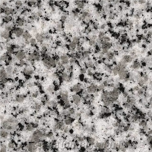 Grey Pearl Argentina Granite Slabs & Tiles