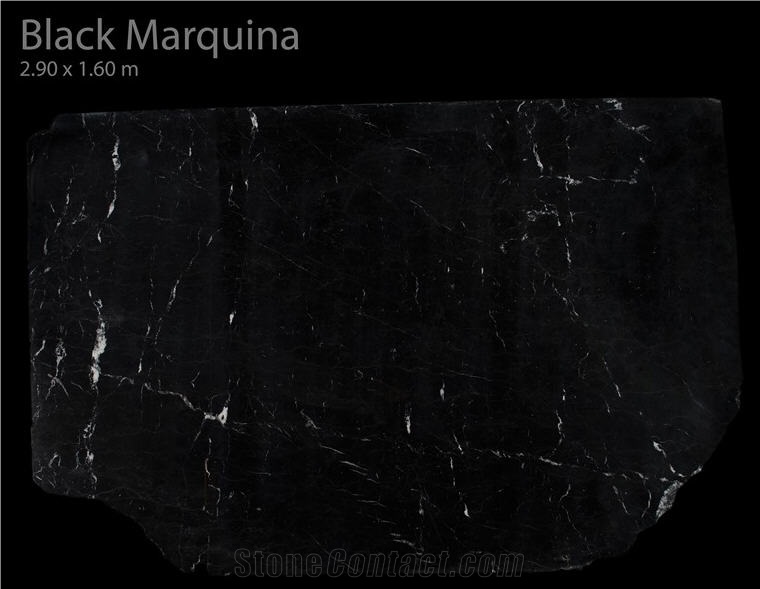 Nero Marquina Black Marble Slabs, Spain Black Marble